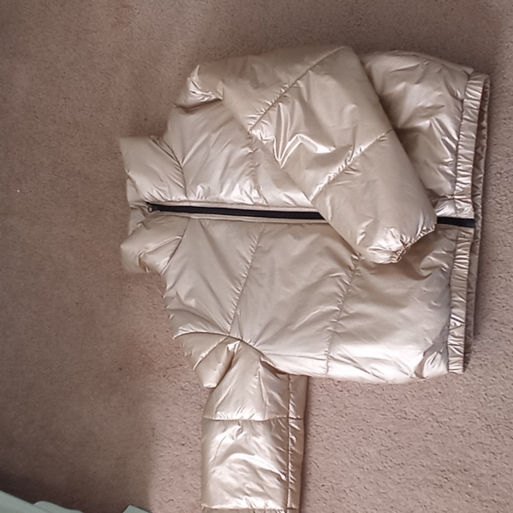 Wild Fable Winter puffer coat